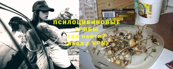 хмурый Арсеньев