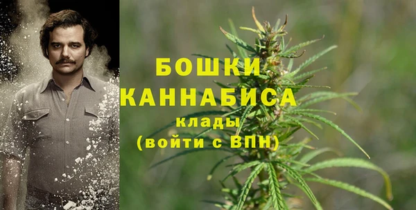 хмурый Арсеньев