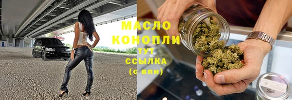 хмурый Арсеньев