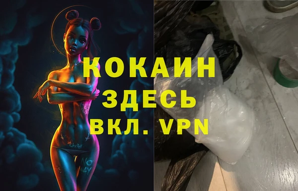 хмурый Арсеньев