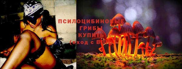 хмурый Арсеньев
