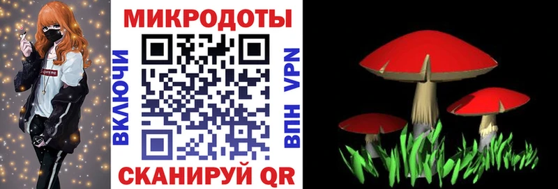 Галлюциногенные грибы MAGIC MUSHROOMS  mega как зайти  Судогда 